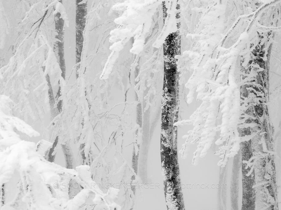 The Misorano Cottage Hakuba Eksteriør billede